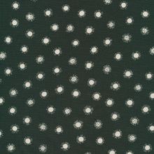 Load image into Gallery viewer, Meenal Patel 1/2 Yard Precut Bundle 4 pcs
