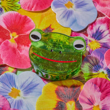 Load image into Gallery viewer, Mini Green Froggy Hair Claw Clip
