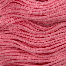 Load image into Gallery viewer, 100% OTF Cotton Embroidery Floss
