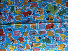 Load image into Gallery viewer, United States Colorful Kids 1/4 Yard Fabric
