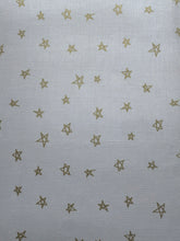 Load image into Gallery viewer, When Skies Are Grey by Simple Simon &amp; Company 1/2 Yard
