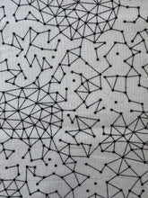Load image into Gallery viewer, Fragile by Brigitte Heitand 3/4 Yard
