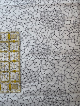 Load image into Gallery viewer, Fragile by Brigitte Heitand 3/4 Yard
