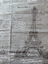 Load image into Gallery viewer, Gray Parisian Print Fabric 1 3/4 Yard
