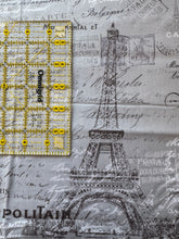 Load image into Gallery viewer, Gray Parisian Print Fabric 1 3/4 Yard
