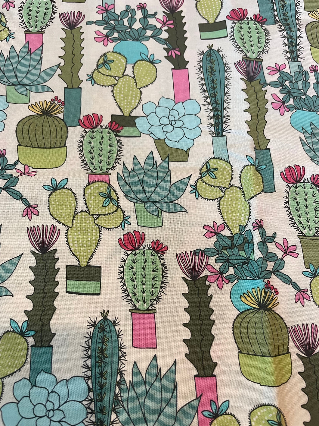 Potted Succulents 1 Yard Quilting Cotton