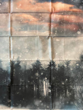 Load image into Gallery viewer, Winter Scene Cotton Panel

